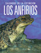 Los anfibios: Salvados de la extinción (Spanish Edition) by Joanne Mattern, 9781644669822