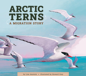 Arctic Terns (A Migration Story) by Lisa Amstutz, Howard Gray, 9781681528045