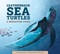 Leatherback Sea Turtles (A Migration Story) by Lisa Amstutz, Howard Gray, 9781681528090