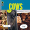 Cows - 9781682777053 by Kate Riggs, 9781682777053