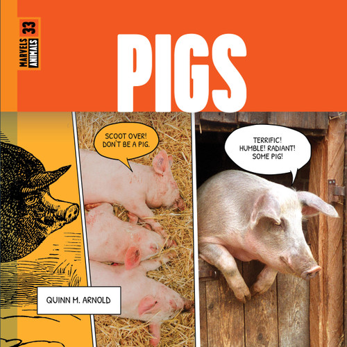 Pigs - 9781682777480 by Quinn M. Arnold, 9781682777480