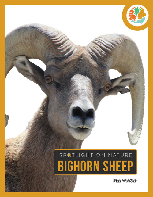 Bighorn Sheep - 9781682777848 by Nell Musolf, 9781682777848