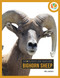 Bighorn Sheep - 9781682777848 by Nell Musolf, 9781682777848
