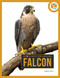 Falcon by Pamela Dell, 9781682777862