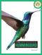 Hummingbird - 9781682777886 by Pamela Dell, 9781682777886