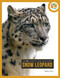 Snow Leopard by Pamela Dell, 9781682777947