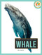Whale - 9781682777954 by Nell Musolf, 9781682777954