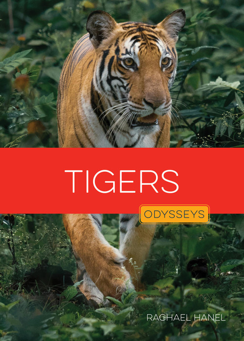 Tigers - 9781682778296 by Rachael Hanel, 9781682778296