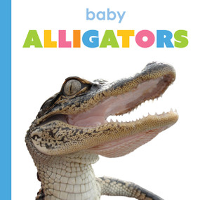 Baby Alligators by Kim Thompson, 9781682778302