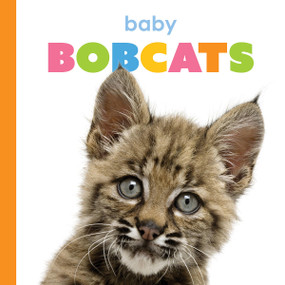 Baby Bobcats by Kim Thompson, 9781682778319
