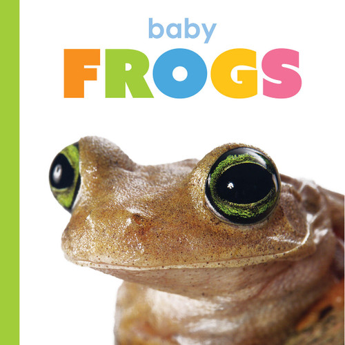 Baby Frogs by Kim Thompson, 9781682778326