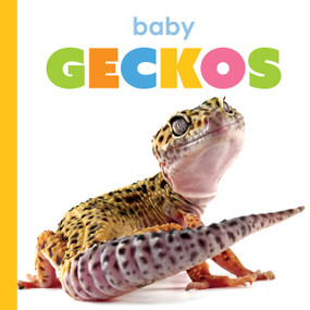 Baby Geckos by Kim Thompson, 9781682778333