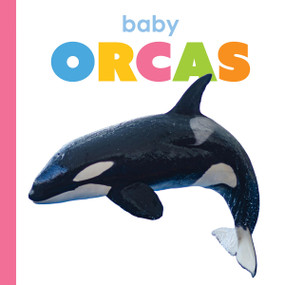 Baby Orcas by Kim Thompson, 9781682778340