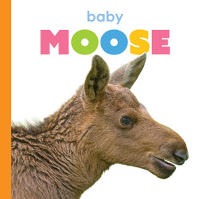 Baby Moose - 9781682778364 by Kim Thompson, 9781682778364