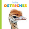 Baby Ostriches by Kim Thompson, 9781682778371