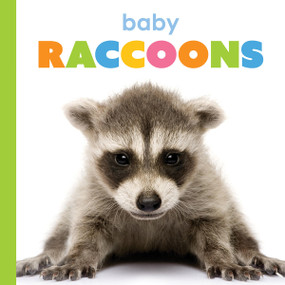 Baby Raccoons - 9781682778395 by Kim Thompson, 9781682778395