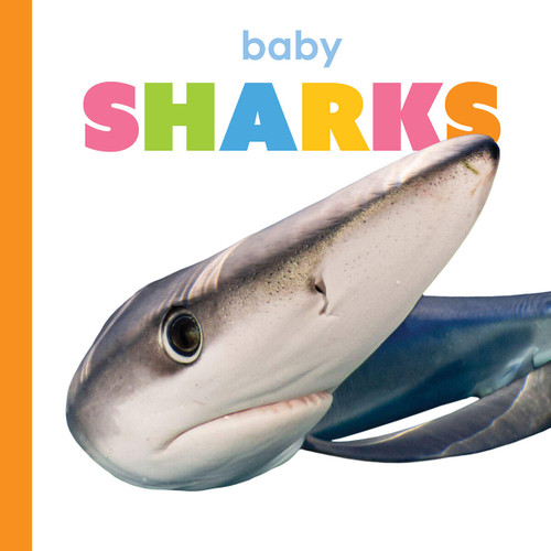 Baby Sharks by Kim Thompson, 9781682778401