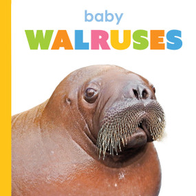Baby Walruses by Kim Thompson, 9781682778425