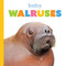 Baby Walruses by Kim Thompson, 9781682778425