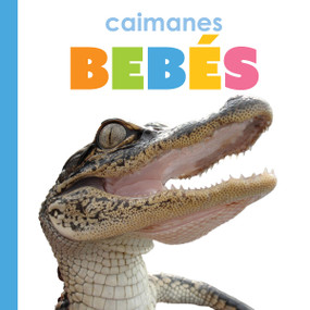 Caimanes bebés (Spanish Edition) by Kim Thompson, 9781682778906