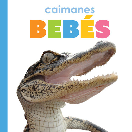 Caimanes bebés (Spanish Edition) by Kim Thompson, 9781682778906