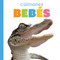 Caimanes bebés (Spanish Edition) by Kim Thompson, 9781682778906