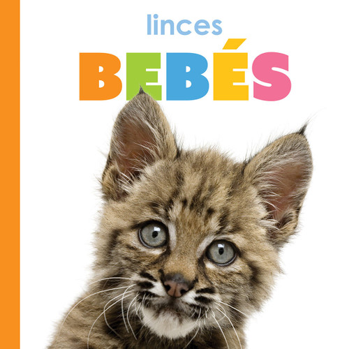 Linces bebés (Spanish Edition) by Kim Thompson, 9781682778913