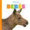 Alces bebés (Spanish Edition) by Kim Thompson, 9781682778968