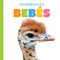 Avestruces bebés (Spanish Edition) by Kim Thompson, 9781682778982