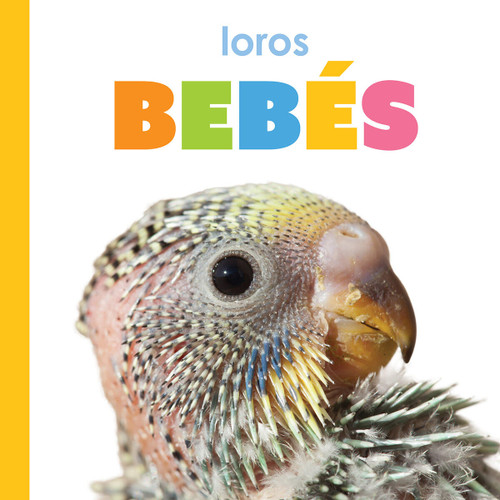Loros bebés (Spanish Edition) by Kim Thompson, 9781682778999