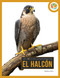 El halcón (Spanish Edition) by Pamela Dell, 9781682779590