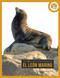 El león marino (Spanish Edition) - 9781682779668 by Nell Musolf, 9781682779668