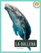 La ballena (Spanish Edition) - 9781682779682 by Nell Musolf, 9781682779682