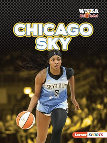 Chicago Sky - 9798765683538 by Josh Anderson, 9798765683538