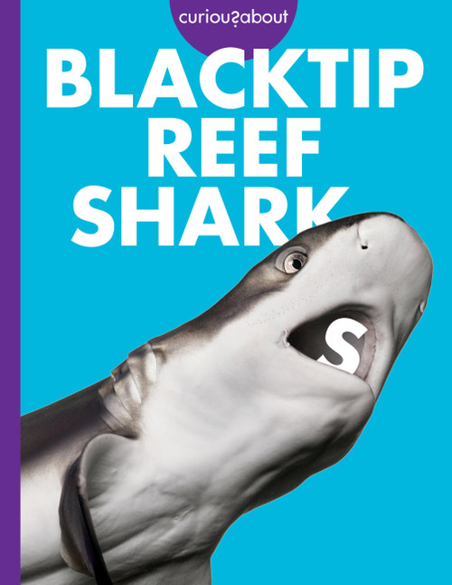 Curious about Blacktip Reef Sharks by Emma Alice Johnson, 9798892005562