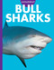 Curious about Bull Sharks by Emma Alice Johnson, 9798892005579