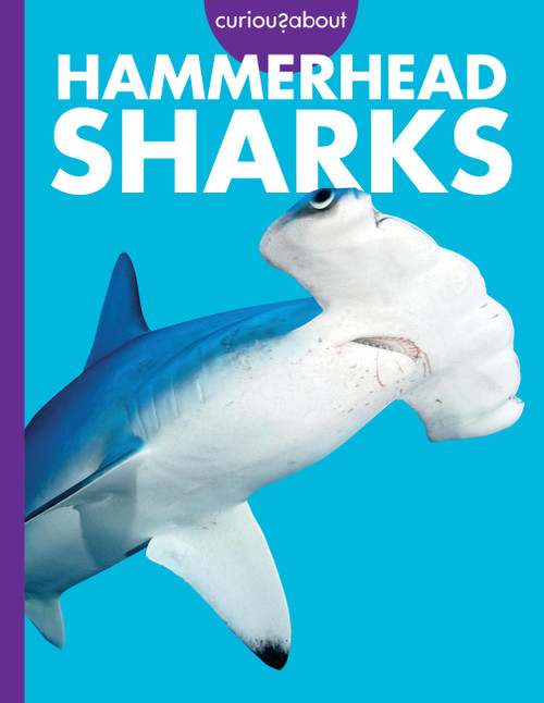 Curious about Hammerhead Sharks by Monika Davies, 9798892005593