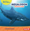 Megalodon (A First Look) - 9798765684696 by Hannah Gramson, 9798765684696