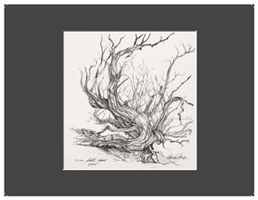 Charles Parson Drawing by Frederick Ramey, 9780998592213