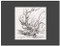 Charles Parson Drawing by Frederick Ramey, 9780998592213