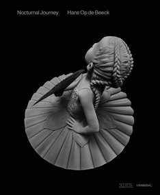 Nocturnal Journey (Hans Op de Beeck) by Hans Op de Beeck, 9789493416055