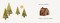 Tu bosque (Spanish Edition) by Jon Klassen, Jon Klassen, 9781536247022