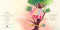Unicorn Post by Emma Yarlett, Emma Yarlett, 9781536246469