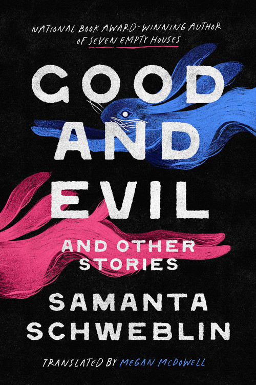 Good and Evil and Other Stories by Samanta Schweblin, Megan McDowell, 9780593803103