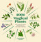 1001 Magical Plants (The Complete Book of Botanicals for Every Purpose) by Cassandra Eason, 9781454952091