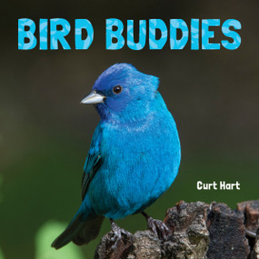 Bird Buddies - 9781486729166 by Curt Hart, 9781486729166