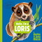 Hello, I'm a Loris (Meet the Wild Things, Book 6) by Hayley Rocco, John Rocco, 9780593858783