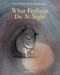 What Feelings Do at Night by Tina Oziewicz, Aleksandra Zajac, Antonia Lloyd-Jones, 9781782695301