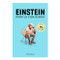 Einstein para la vida diaria / Einstein for Everyday Life (Spanish Edition) by Estudio PE S.A.C., 9786075698113