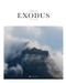Book of Exodus (HC,NLT) by Alabaster Co., 9781952357893